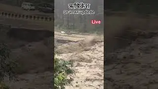 Rishikesh Road Update Live #viral #flood #landslide #rainfall  #haridwar #road #heavyrain  #travel