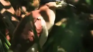 Emerald_River.mov