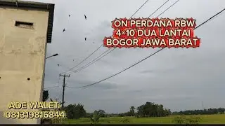 Viral rbw baru on langsung di serbu BW masuk 