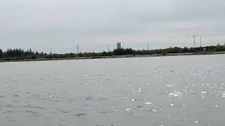 Three tugs, one log boom, September 17, 2022