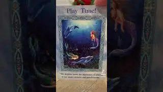 Magical Mermaids and Dolphins Oracle Cards: This Message is for You! @wellnessstudio7