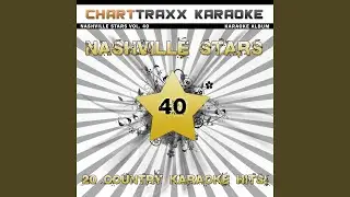 What I Meant to Say (Karaoke Version In the Style of Wade Hayes)