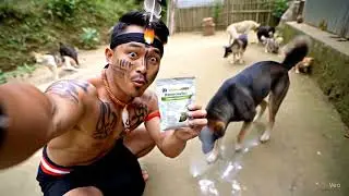 Diatomaceous Earth Flea Solution