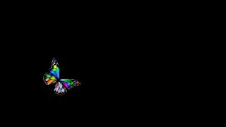 Colorful butterfly black screen video | Beautiful butterfly black background