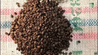 El rastro del café, Granada