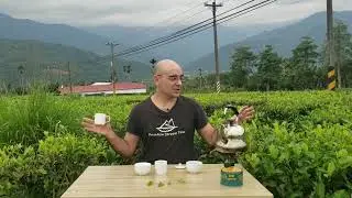 Tea Introductions -- Ruby 18 Green and Black