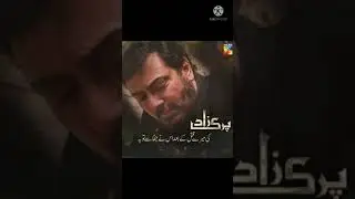 Parizad drama poetry #feroz #parizaad parizad new episode