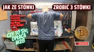 Pieniądz robi pieniądz, czyli jak skutecznie wydać 100 złotych. Czy to się opłaca #28