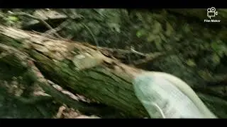 Hartville Ohio hike