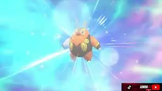 Pignite Evolves Into Emboar Pok&eacute;mon Violet The Indigo Disk DLC