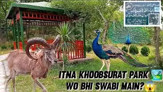 Baja wildlife park Swabi 🏞️🌲|Short tour with friends😍|Very safe area ❣️💯|2nd vlog|#explore#swabi.