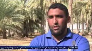 إنتاج وتصدير التمور في مدينة دوز - مراسلو الجزيرة
