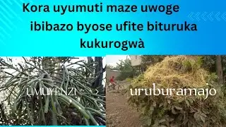 uyumuti nuwoga ibyo warozwe byose utari gusobanukirwa bizahita bikira