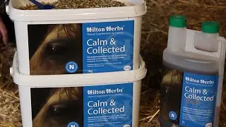 Calm and Collected - Herbal Calming Supplement for Horses - Product Description