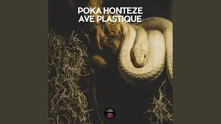Ave Plastique