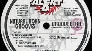 Natural Born Grooves - Groovebird (Tropical Birds In Ffm Rmx)