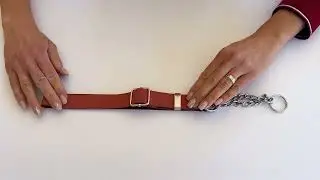 Euro Dog Modern Style Martingale Leather Dog Collar Video