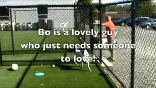 94232 Bo