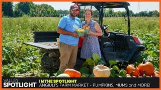 Pumpkins, Mums & More at Angiuli's!