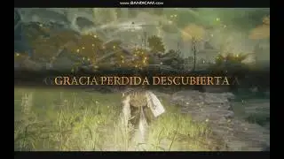 ELDEN RING EN RYZEN 8600 G 16 GB RAM SIN TARJETA DE VIDEO