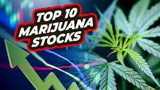 Top 10 Marijuana stocks in 2022!