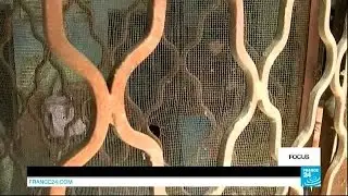 In Kashmir, worst cross-border shelling in a decade...