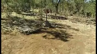 Tunstall Murder Site
