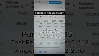 Facebook Ads Results for Ecommerce | Case Study