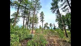 1219 Turkey Hill Road Pinedale, Az 85934
