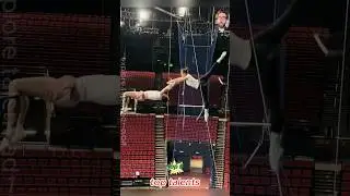 amazing talents #100
