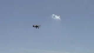 1/4 scale Sopwith Pup at warbird fly in, David Waymer flying field. 10/24/20