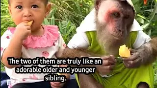 A heartwarming story from Vietnam has gone viral worldwide—the story of a monkey named Cutis.