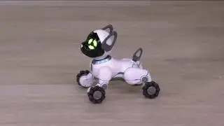 WowWee's CHiP Interactive Robotic Dog w/ Smart Ball & 2 Smartbands on QVC