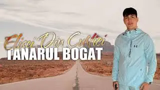 Elisei Din Curtici - TANARUL BOGAT - 2024 cover