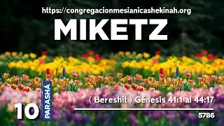 LA FIDELIDAD EN MEDIO DE LA ADVERSIDAD | PARASHA # 10 | MIKETZ