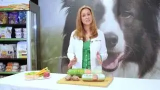 Identifying Pet Food Allergies