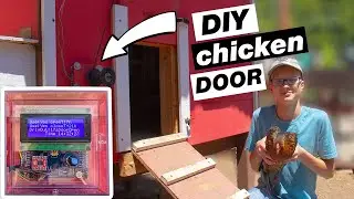 I Made An Automatic Chicken Coop Door For Chickens!