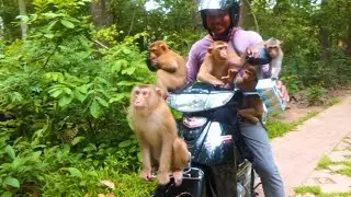 Morning video update #27thjunemorning #Kosalteam #Savanateam #Kosolkean #Feedmonkeys 🤣❤️😍😂💕
