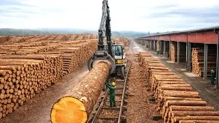 High-Power Wood Chippers & Log Splitters | Turning Raw Timber into Firewood Fast