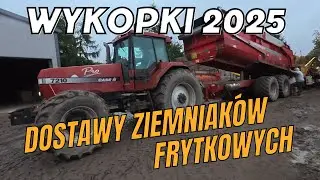 Plan wykonany. Ziemniaki dostarczone do fabryki. Wykopki 2025
