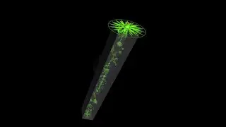 JToH passing towers, Tower of Verdant Entropy by DuskPyramid