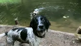 Is Chee Dale worth visiting ?