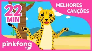 Chita e mais músicas infantis | + Compilação | Pinkfong Canções para crianças