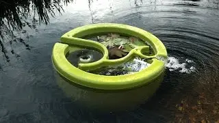 World's first floating Natural Pool filter - OLIVE : Organic Pool Filter
