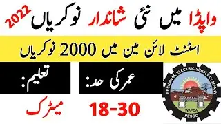 Assistant Lineman Jobs in WAPDA 2022   Assistant Lineman kya hota hai   ALM jobs In KPK 2022