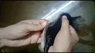 golden front lace hair patch