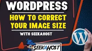 How to Correct Image Size in WordPress | Resizing  images