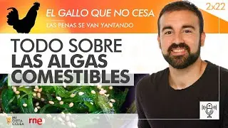 Todo sobre las algas comestibles (RNE) - Programa 2x22