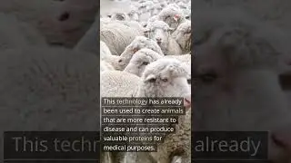 #TransgenicRevolution #AnimalBiotechBreakthrough #GeneticRevolution #GeneHeroes #TransgenicWonders