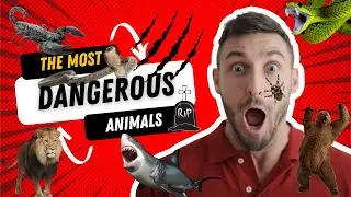 Top10 Most Dangerous Animals in the World 🦁🐊🐍 Wildlife Countdown | Fact Hog #dangerous#animals#lion